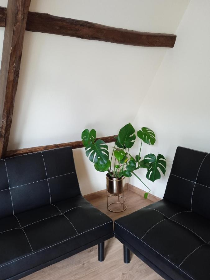 Albergue De Peregrinos Compostela موليناسيكا المظهر الخارجي الصورة